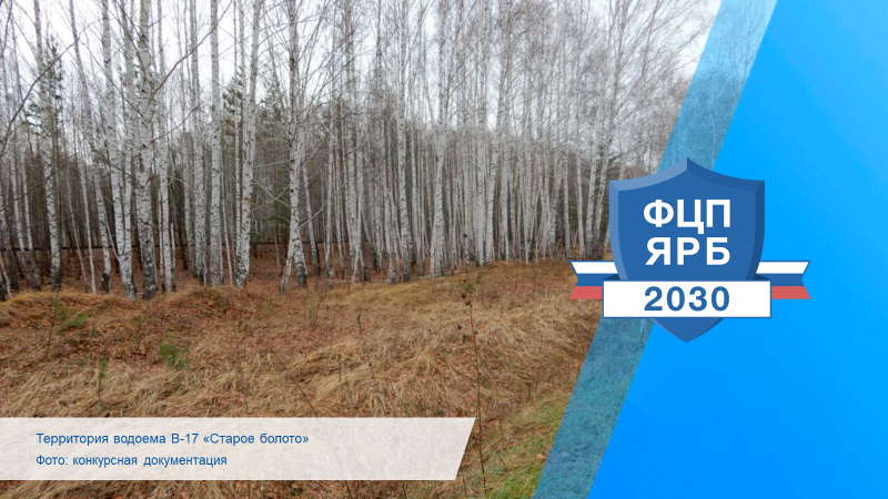 В Озерске продолжаются работы по консервации водоема В-17 «Старое болото»