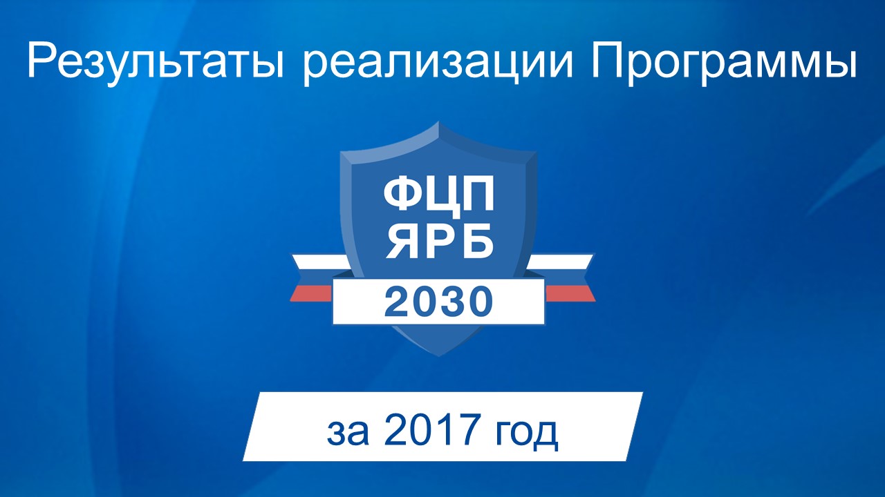 Результаты реализации Программы за 2017 год
